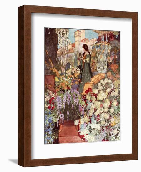 The Sensitive Plant, Robinson-Charles Robinson-Framed Photographic Print