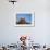 The Sentinel Tree in Bristlecone Pine Forest, Inyo, California, USA-Don Paulson-Framed Photographic Print displayed on a wall