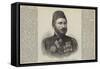 The Serdar Mahomet Ali Pasha, Commander-In-Chief of the Turkish Army-null-Framed Stretched Canvas