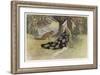 The Serpent, Grannonia and the Fox-Warwick Goble-Framed Art Print