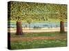 The Serpentine, Hyde Park, 1990-Liz Wright-Stretched Canvas