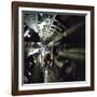 The Seven Bridge Transmission Tunnel, 1980-Michael Walters-Framed Photographic Print