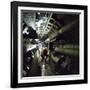The Seven Bridge Transmission Tunnel, 1980-Michael Walters-Framed Photographic Print