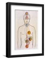 The Seven Chakras and the Streams of Vitality-C.w. Leadbeater-Framed Photographic Print