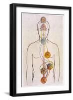 The Seven Chakras and the Streams of Vitality-C.w. Leadbeater-Framed Photographic Print