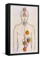 The Seven Chakras and the Streams of Vitality-C.w. Leadbeater-Framed Stretched Canvas