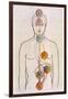 The Seven Chakras and the Streams of Vitality-C.w. Leadbeater-Framed Photographic Print