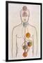 The Seven Chakras and the Streams of Vitality-C.w. Leadbeater-Framed Photographic Print