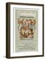 The Seven-Per-Cent Solution, 1976-null-Framed Giclee Print