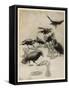 The Seven Ravens-Arthur Rackham-Framed Stretched Canvas