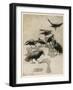 The Seven Ravens-Arthur Rackham-Framed Photographic Print