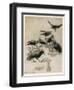 The Seven Ravens-Arthur Rackham-Framed Photographic Print