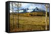 The Seven Sisters Mountains on B.C.'s Highway 16 Near Smithers-Richard Wright-Framed Stretched Canvas