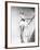 The Seven Year Itch, 1955-null-Framed Photographic Print