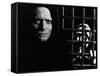 The Seventh Seal, Bengt Ekerot, Max Von Sydow, 1957-null-Framed Stretched Canvas