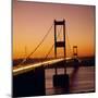 The Severn Bridge at Sunset, England, UK-Roy Rainford-Mounted Photographic Print