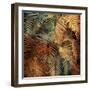 The Seychelles II-John Seba-Framed Art Print