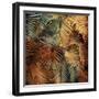 The Seychelles II-John Seba-Framed Art Print