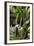 The Seychelles, La Digue, Banana Plant-Catharina Lux-Framed Photographic Print