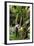 The Seychelles, La Digue, Banana Plant-Catharina Lux-Framed Photographic Print