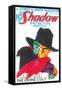 The Shadow-null-Framed Stretched Canvas