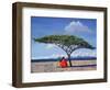 The Shady Tree, 1992-Tilly Willis-Framed Giclee Print