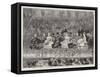 The Shah and the Royal Family at the State Concert at the Royal Albert Hall-Joseph Nash-Framed Stretched Canvas