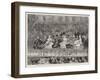 The Shah and the Royal Family at the State Concert at the Royal Albert Hall-Joseph Nash-Framed Giclee Print