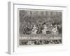 The Shah and the Royal Family at the State Concert at the Royal Albert Hall-Joseph Nash-Framed Giclee Print