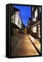 The Shambles at Dusk, York, Yorkshire, England, United Kingdom, Europe-Mark-Framed Stretched Canvas