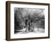 The 'Shambles' Oak, Sherwood Forest, 1904-null-Framed Giclee Print