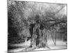 The 'Shambles' Oak, Sherwood Forest, 1904-null-Mounted Giclee Print