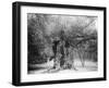 The 'Shambles' Oak, Sherwood Forest, 1904-null-Framed Giclee Print