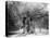 The 'Shambles' Oak, Sherwood Forest, 1904-null-Stretched Canvas