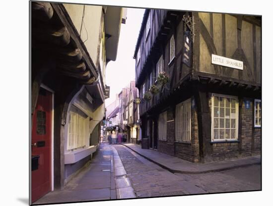 The Shambles, York, Yorkshire, England, United Kingdom-Adam Woolfitt-Mounted Photographic Print