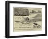 The Shapira Manuscript of Deuteronomy-null-Framed Giclee Print