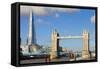 The Shard and Tower Bridge at Night, London, England, United Kingdom, Europe-Miles Ertman-Framed Stretched Canvas
