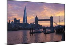 The Shard and Tower Bridge on the River Thames at Sunset, London, England, United Kingdom, Europe-Stuart Black-Mounted Photographic Print