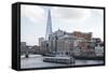 The Shard, Bankside, London, England, United Kingdom, Europe-Mark-Framed Stretched Canvas