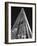 The Shard in Mono-Adrian Campfield-Framed Photographic Print