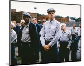 The Shawshank Redemption-null-Mounted Photo