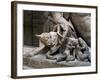 The She-Wolf, Romulus and Remus, Detail of Marble Statue Personifying Tiber-null-Framed Giclee Print