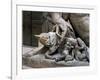 The She-Wolf, Romulus and Remus, Detail of Marble Statue Personifying Tiber-null-Framed Giclee Print