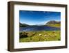 The Sheep of Connemara-Philippe Sainte-Laudy-Framed Photographic Print