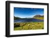 The Sheep of Connemara-Philippe Sainte-Laudy-Framed Photographic Print