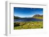 The Sheep of Connemara-Philippe Sainte-Laudy-Framed Photographic Print