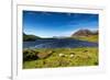 The Sheep of Connemara-Philippe Sainte-Laudy-Framed Photographic Print