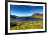 The Sheep of Connemara-Philippe Sainte-Laudy-Framed Photographic Print