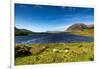 The Sheep of Connemara-Philippe Sainte-Laudy-Framed Photographic Print