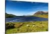 The Sheep of Connemara-Philippe Sainte-Laudy-Stretched Canvas